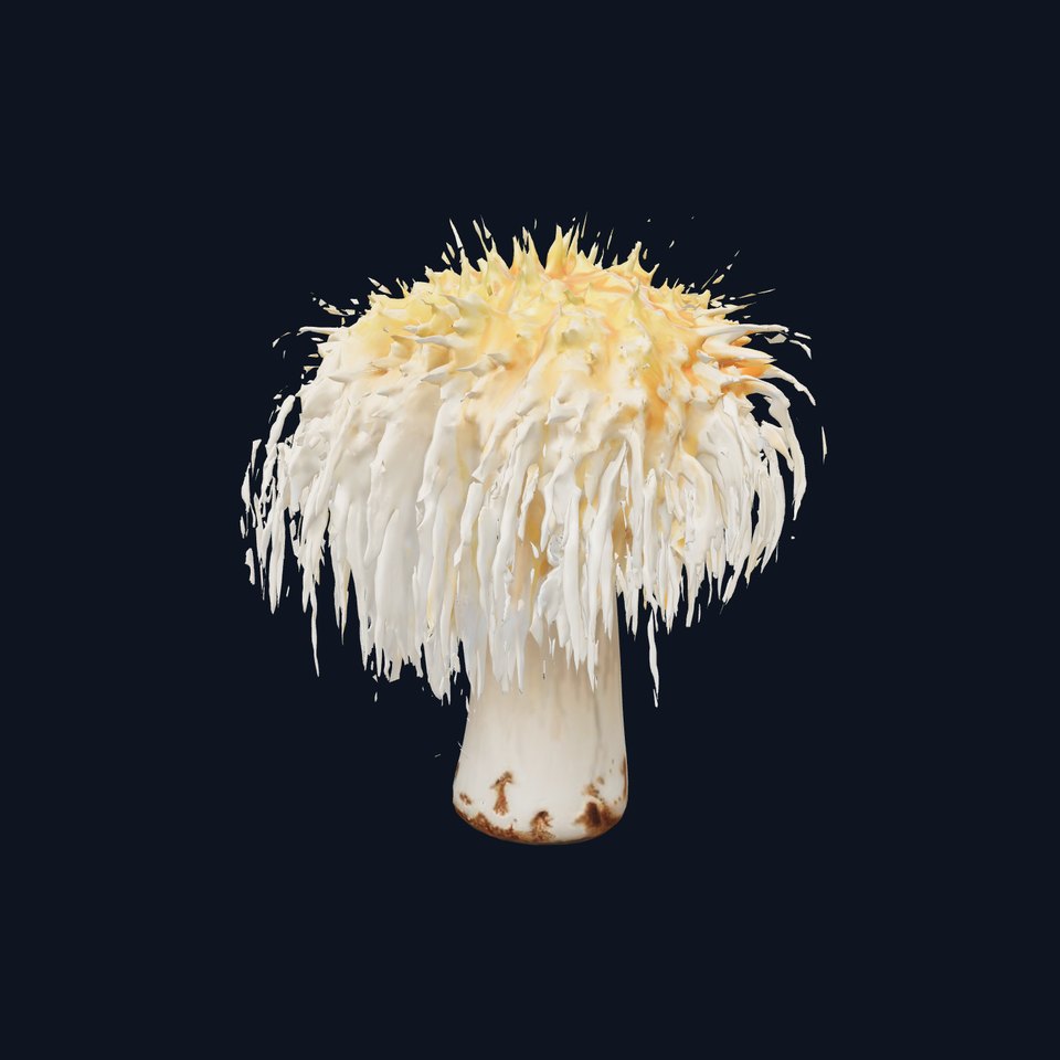 Detailed Anemone Model Pack for D Environments